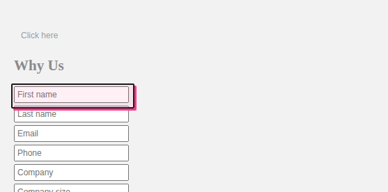 A web page with one form field outlined in black and pink, matching the finding shown in the extension.